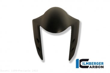 Carbon Fiber Front Fender by Ilmberger Carbon Ducati / 1199 Panigale / 2013