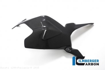 Carbon Fiber Swingarm Cover by Ilmberger Carbon Ducati / 1299 Panigale R / 2015