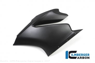 Carbon Fiber Left Side Fairing Panel by Ilmberger Carbon Ducati / 1299 Panigale Superleggera / 2017