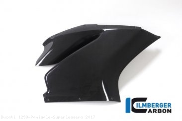 Carbon Fiber Right Side Fairing Panel by Ilmberger Carbon Ducati / 1299 Panigale Superleggera / 2017