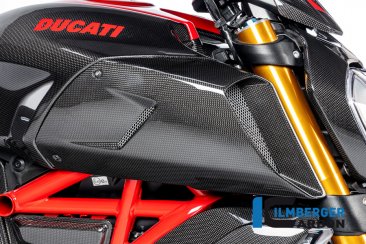 Carbon Fiber RIGHT Air Intake Cover by Ilmberger Carbon