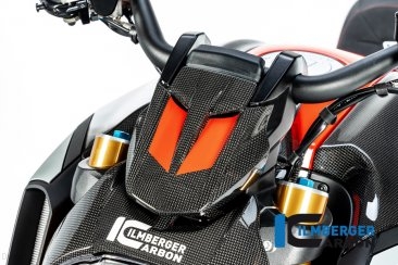 Carbon Fiber Instrument Gauge Cover by Ilmberger Carbon Ducati / Diavel 1260 S / 2022