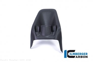 Carbon Fiber Ignition Switch Cover by Ilmberger Carbon Ducati / Monster 1200 / 2018