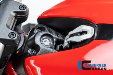 Carbon Fiber Ignition Switch Cover by Ilmberger Carbon Ducati / Monster 1200S / 2018