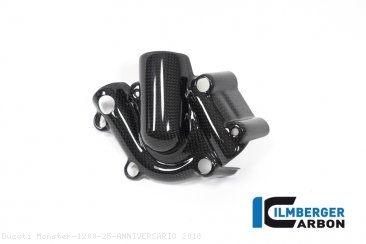 Carbon Fiber Water Pump Cover by Ilmberger Carbon Ducati / Monster 1200 25 ANNIVERSARIO / 2018