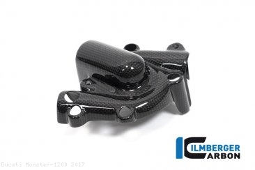 Carbon Fiber Water Pump Cover by Ilmberger Carbon Ducati / Monster 1200 / 2017