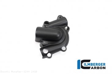 Carbon Fiber Water Pump Cover by Ilmberger Carbon Ducati / Monster 1200 / 2018