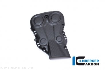 Carbon Fiber Vertical Belt Cover by Ilmberger Carbon Ducati / Monster 821 / 2015