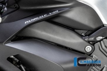 Carbon Fiber Frame Cover by Ilmberger Carbon Ducati / Streetfighter V4 / 2021