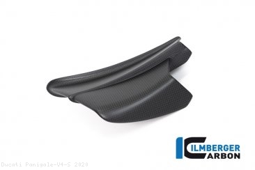 Carbon Fiber Winglet by Ilmberger Carbon Ducati / Panigale V4 S / 2020