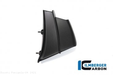 Carbon Fiber Winglet by Ilmberger Carbon Ducati / Panigale V4 / 2021