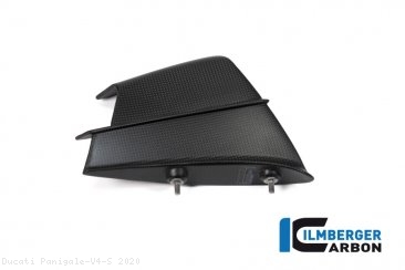 Carbon Fiber Winglet by Ilmberger Carbon Ducati / Panigale V4 S / 2020