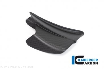 Carbon Fiber Winglet by Ilmberger Carbon Ducati / Panigale V4 / 2021