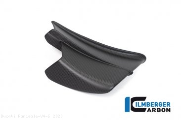 Carbon Fiber Winglet by Ilmberger Carbon Ducati / Panigale V4 S / 2020