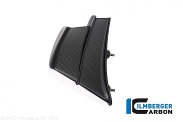 Carbon Fiber Winglet by Ilmberger Carbon Ducati / Panigale V4 / 2020