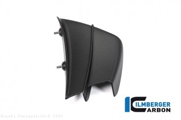 Carbon Fiber Winglet by Ilmberger Carbon Ducati / Panigale V4 R / 2019