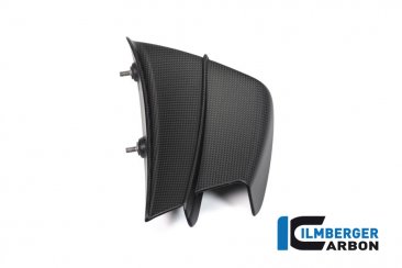 Carbon Fiber Winglet by Ilmberger Carbon