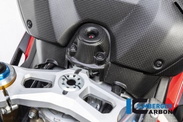 Carbon Fiber Ignition Cover by Ilmberger Carbon Ducati / Panigale V4 R / 2019