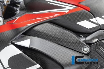 Carbon Fiber Left Side Frame Cover by Ilmberger Carbon Ducati / Panigale V4 Speciale / 2019