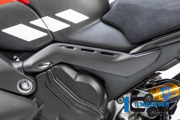 Carbon Fiber Frame Tail Cover by Ilmberger Carbon