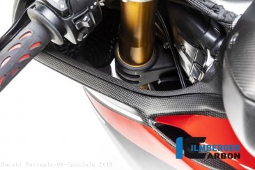 Carbon Fiber Left Inner Fairing by Ilmberger Carbon Ducati / Panigale V4 Speciale / 2019