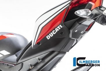 Carbon Fiber Rear Undertail Cover by Ilmberger Carbon Ducati / Panigale V4 S / 2021