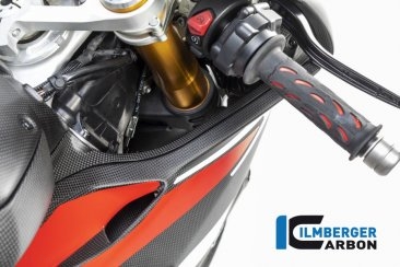 Carbon Fiber Right Inner Fairing by Ilmberger Carbon Ducati / Panigale V4 Speciale / 2018