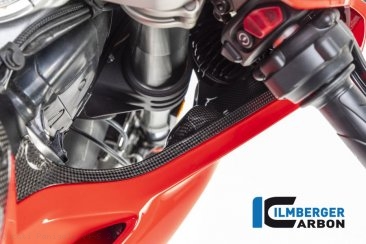 Carbon Fiber Right Inner Fairing by Ilmberger Carbon Ducati / Panigale V4 S / 2022