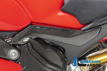 Carbon Fiber Frame Tail Cover by Ilmberger Carbon Ducati / Panigale V4 R / 2020