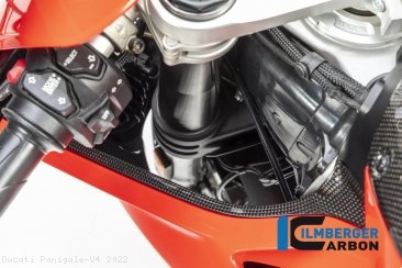 Carbon Fiber Left Inner Fairing by Ilmberger Carbon Ducati / Panigale V4 / 2022