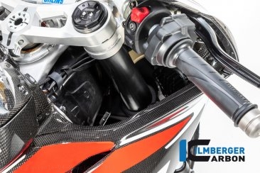 Carbon Fiber Right Inner Fairing by Ilmberger Carbon Ducati / Panigale V4 Speciale / 2018