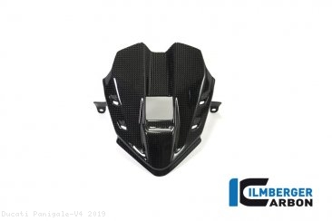 Carbon Fiber Instrument Gauge Cover Kit by Ilmberger Carbon Ducati / Panigale V4 / 2019