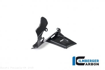 Carbon Fiber Instrument Gauge Cover Kit by Ilmberger Carbon Ducati / Panigale V4 / 2019