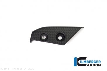 Carbon Fiber Instrument Gauge Cover Kit by Ilmberger Carbon Ducati / Panigale V4 / 2022