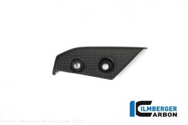 Carbon Fiber Instrument Gauge Cover Kit by Ilmberger Carbon Ducati / Panigale V4 Speciale / 2019