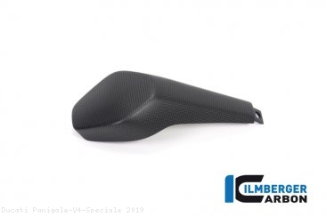 Carbon Fiber Passenger Seat Cover by Ilmberger Carbon Ducati / Panigale V4 Speciale / 2019