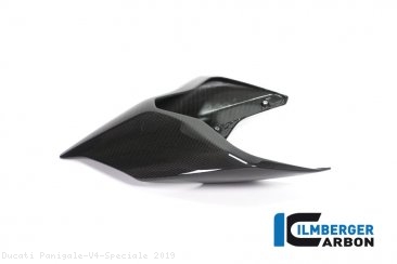 Carbon Fiber Monoposto Rear Seat Cover by Ilmberger Carbon Ducati / Panigale V4 Speciale / 2019