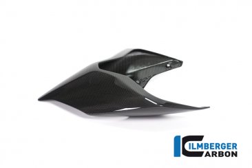 Carbon Fiber Monoposto Rear Seat Cover by Ilmberger Carbon