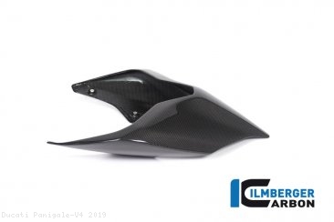 Carbon Fiber Monoposto Rear Seat Cover by Ilmberger Carbon Ducati / Panigale V4 / 2019