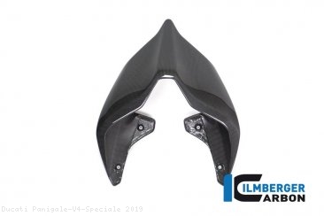 Carbon Fiber Monoposto Rear Seat Cover by Ilmberger Carbon Ducati / Panigale V4 Speciale / 2019