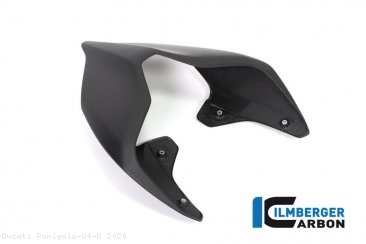 Carbon Fiber Monoposto Rear Seat Cover by Ilmberger Carbon Ducati / Panigale V4 R / 2020