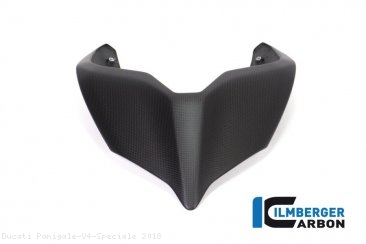 Carbon Fiber Monoposto Rear Seat Cover by Ilmberger Carbon Ducati / Panigale V4 Speciale / 2018