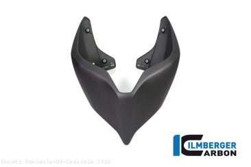 Carbon Fiber Monoposto Rear Seat Cover by Ilmberger Carbon Ducati / Panigale V4 Speciale / 2018