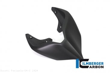 Carbon Fiber Monoposto Rear Seat Cover by Ilmberger Carbon Ducati / Panigale V4 S / 2024