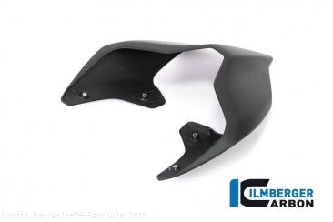 Carbon Fiber Monoposto Rear Seat Cover by Ilmberger Carbon Ducati / Panigale V4 Speciale / 2019