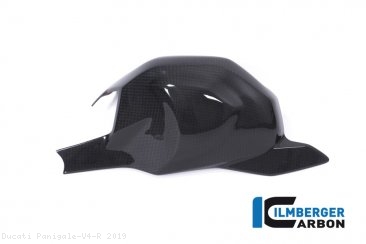 Carbon Fiber Swingarm Cover by Ilmberger Carbon Ducati / Panigale V4 R / 2019