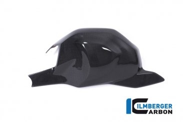 Carbon Fiber Swingarm Cover by Ilmberger Carbon