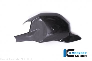 Carbon Fiber Swingarm Cover by Ilmberger Carbon Ducati / Panigale V4 S / 2018