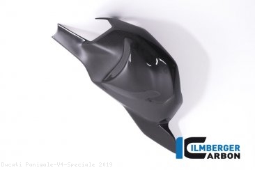 Carbon Fiber Swingarm Cover by Ilmberger Carbon Ducati / Panigale V4 Speciale / 2019