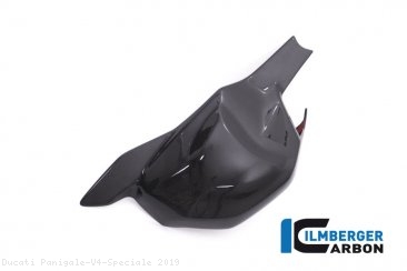 Carbon Fiber Swingarm Cover by Ilmberger Carbon Ducati / Panigale V4 Speciale / 2019